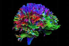 Image result for Human Brain Wallpaper