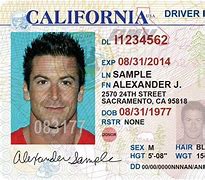 Image result for Driver's License Number Florida