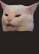 Image result for Cat Meme Reaction Image Smug