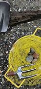 Image result for Clam Digging Tools