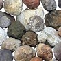 Image result for Common Geodes