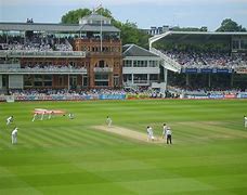 Image result for Cricket Pitch HD