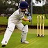 Image result for Huge Cricket Stumps Funny