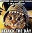 Image result for Animal Encouragement Memes