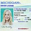 Image result for Fake California Drivers License Template