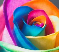 Image result for Glitter Rainbow Flowers Wallpaper