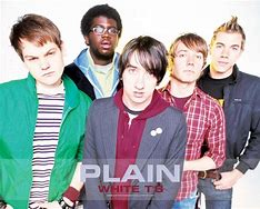 Image result for Plain White T and 501
