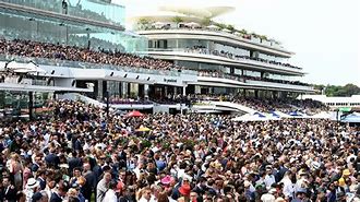 Image result for Melbourne Cup Main Race