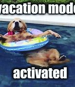 Image result for Vacation Mode Now Meme