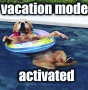 Image result for Co-Worker On Vacation Animal Meme