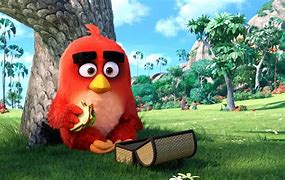 Image result for Angry Birds Animation