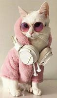 Image result for Cat with Galaxy Glasses Wallpaper