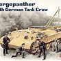 Image result for 1 35 Bergepanther