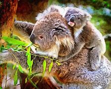 Image result for Top 10 Cutest Baby Animals