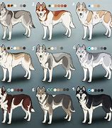 Image result for huskies dogs coats pattern
