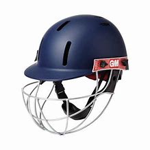 Image result for Shray Cricket Helmet