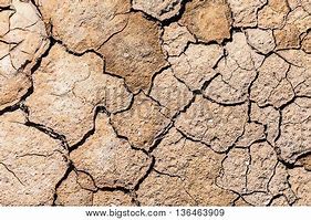 Image result for Cracked Ground Texture