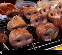 Image result for snouts