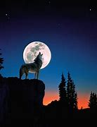 Image result for Wolves Howling at Full Moon