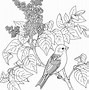Image result for Cute Bat Coloring Page