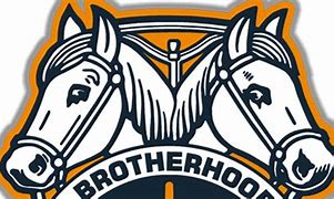 Image result for Teamsters Local 560 Logo