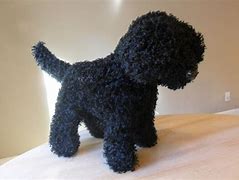Image result for Black Labradoodle Stuffed Animal