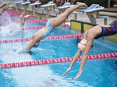 Image result for Competitive Swimming Pool