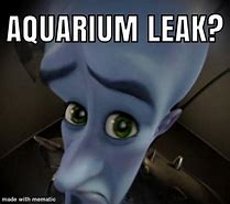 Image result for Aquarium Leaking Meme