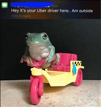 Image result for Funny Toad and Frog Memes