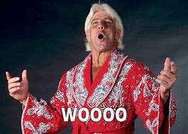 Image result for Ric Flair Pillow Meme