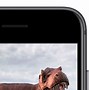Image result for What's the Biggest iPhone