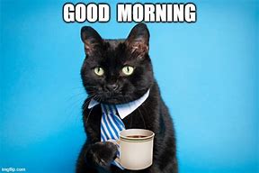 Image result for Morning Black Cat Coffee Meme