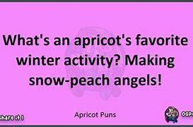 Image result for Apricot Puns