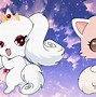 Image result for Jewelpet Amino