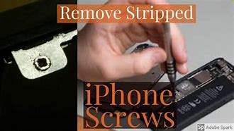 Image result for iPhone 6s Screw Diagram