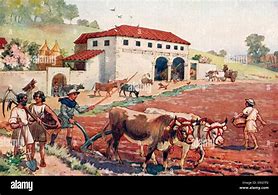 Image result for Ancient Roman Farm