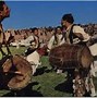 Image result for Afghan Culture