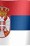 Image result for Raska Srbija