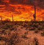 Image result for Empty Arizona Desert