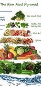 Image result for raw foods diets plans