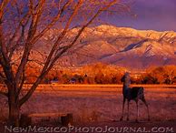 Image result for Oppenheimer Riding Horse New Mexico