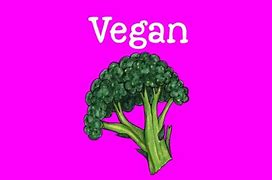 Image result for Raw Food Vegan Diet