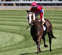 Image result for Melbourne Cup Horses Printable
