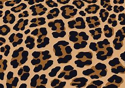 Image result for Cheetah Print Seamless Pattern
