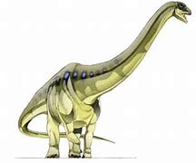 Image result for Aegyptosaurus