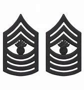 Image result for USMC MGySgt Chevron