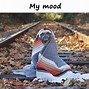 Image result for Memes to Describe My Mood