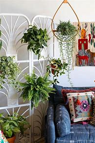 Image result for Hanging Plants Indoors Apartment