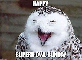Image result for Super Bowl Sunday Meme