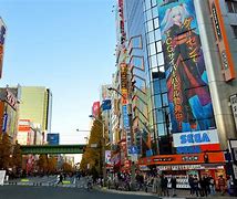 Image result for Akihabara Things to Do